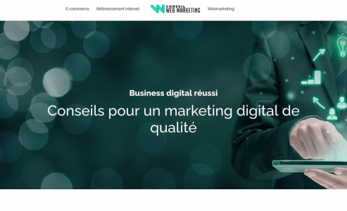 https://www.conseil-webmarketing.com